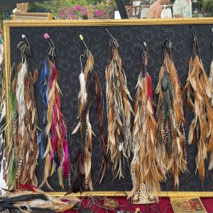 Feathers Clips Max Set